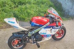 minimoto trofeo 🏆 49cc