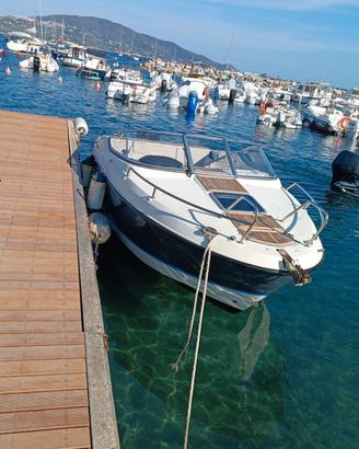 Quicksilver Activ 595 Cruiser