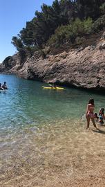 Multiproprietà delfini 2025