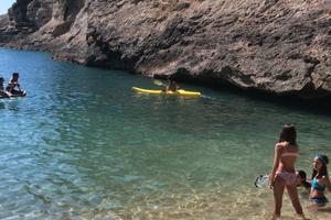 Multiproprietà delfini 2025