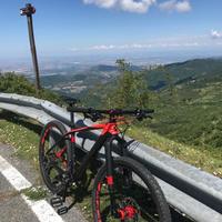 Bicicletta TOP MTB CARBONIO cube reaction c:62