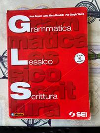 Libro di testo Grammatica lessico scrittura