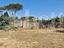 Immagine 11