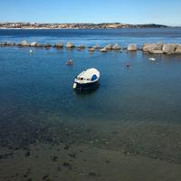 Gozzo da motorizzare