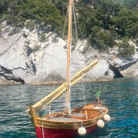 Gozzo vela latina