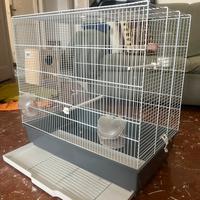 Gabbia per coccirite pappagallini