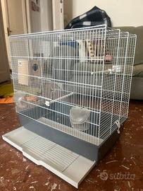 Gabbia per coccirite pappagallini
