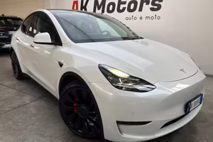 TESLA Model Y AWD Performance