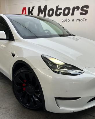 TESLA Model Y AWD Performance