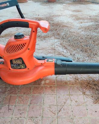 Soffiatore elettrico Black e Decker