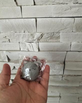 gomma da cancellare Legami gattino gattina