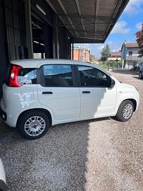 FIAT Panda 3ª serie Panda 1.0 FireFly S&S Hybrid