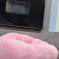 Cuccia morbida rosa per cani o gatti - 60×60×22 cm