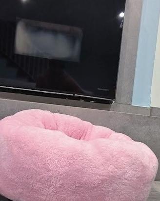 Cuccia morbida rosa per cani o gatti - 60×60×22 cm