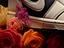 Immagine 4