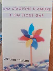 libro una stagione d'amore a big stone cup