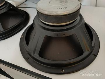 Woofer DB Technologies PW CL12. 12 pollici (32Cm)
