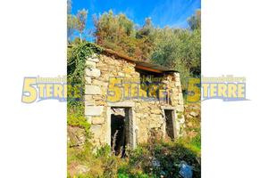 Rustico / Casale di 50 m² con 4 locali a Riomaggio