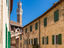 Immagine 5