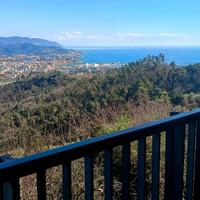 Zona Colli solo Transitorio