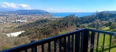 Zona Colli solo Transitorio