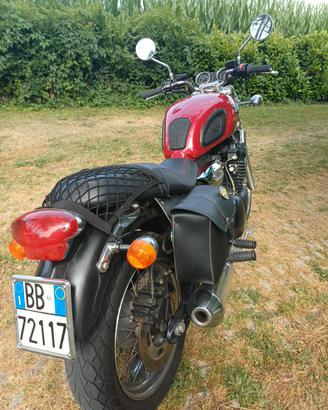 triumph legend900 tt special edition 