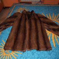 pelliccia in castorino spitz