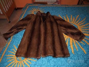 pelliccia in castorino spitz