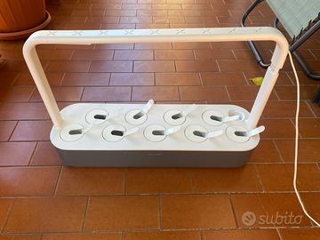 Click and grow serra smart da interno