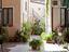 Immagine 5