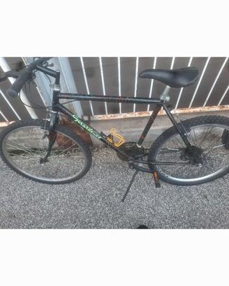 Bicicletta