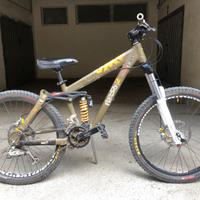 Bicicletta downhill e freeride