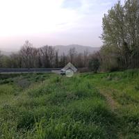 TER. AGRICOLO A MONTEMILETTO