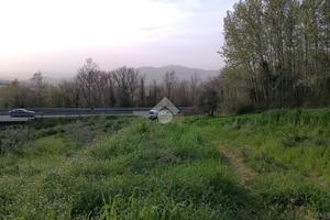 TER. AGRICOLO A MONTEMILETTO