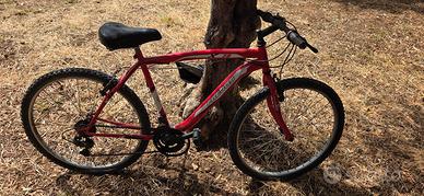 Bicicletta freejus da uomo