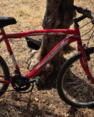 Bicicletta freejus da uomo