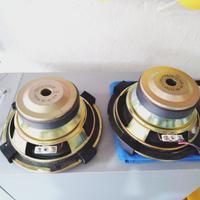 woofer Thomson (EASTECH)
