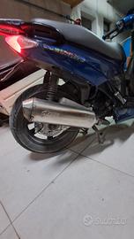 marmitta leovince for road 