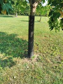 Reti protettive per alberi da fauna 