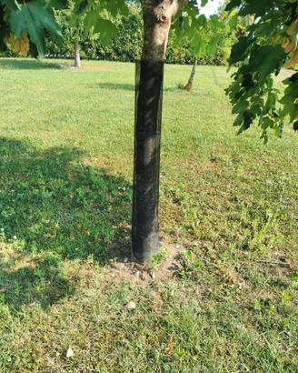 Reti protettive per alberi da fauna 