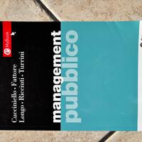 Management pubblico