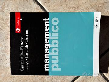 Management pubblico