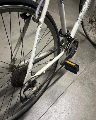 Bicicletta da uomo Adriatica bianca