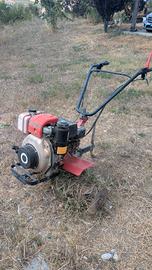 motozappa Benassi BN105