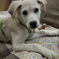 Solo chi è interessato