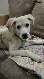 Solo chi è interessato