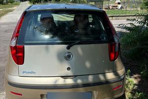  fiat punto  