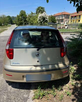  fiat punto  