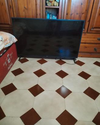 Smart TV LG 55 pollici