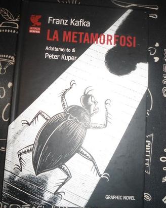 FUMETTI LA METAMORFOSI ( kuper/kafka )